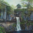 Thornton Falls, Ingleton